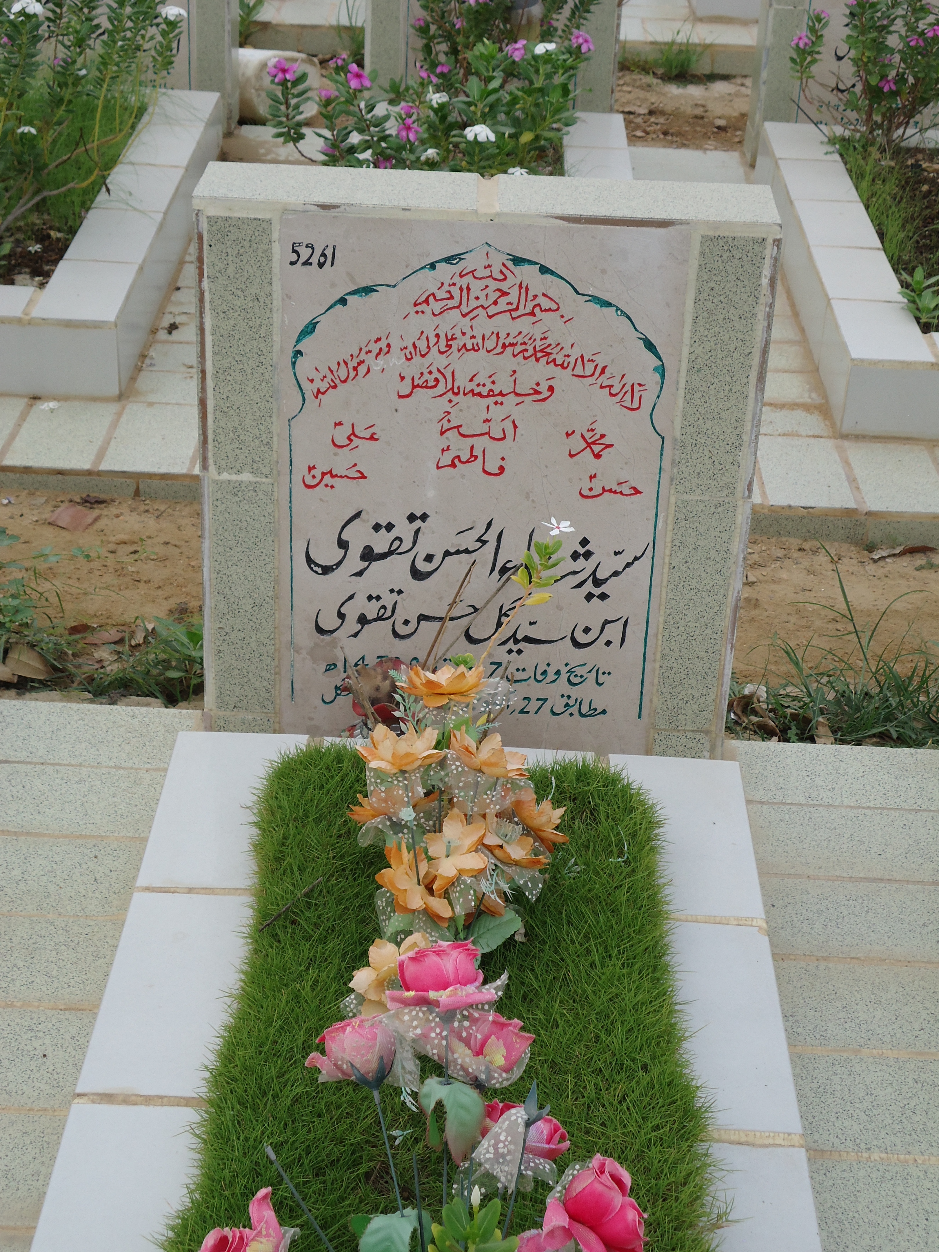 5261 – Syed Sana ul Hasan Taqvi
